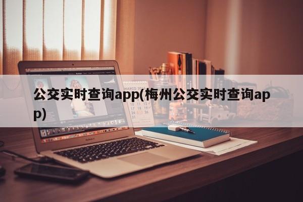 公交实时查询app(梅州公交实时查询app)