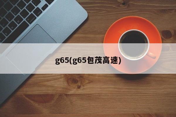 g65(g65包茂高速)