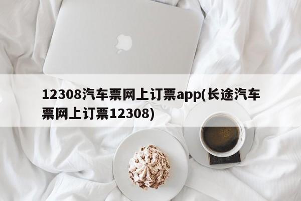 12308汽车票网上订票app(长途汽车票网上订票12308)