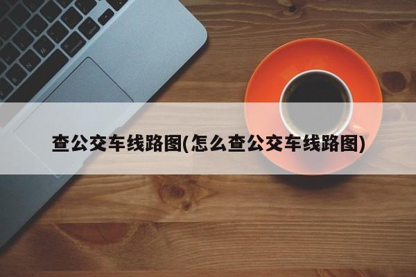 查公交车线路图(怎么查公交车线路图)