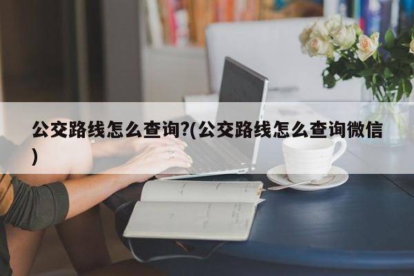 公交路线怎么查询?(公交路线怎么查询微信)