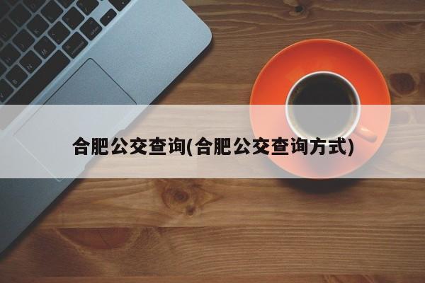 合肥公交查询(合肥公交查询方式)