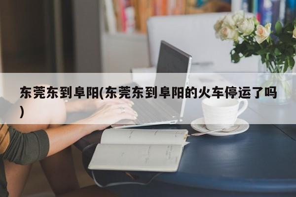 东莞东到阜阳(东莞东到阜阳的火车停运了吗)