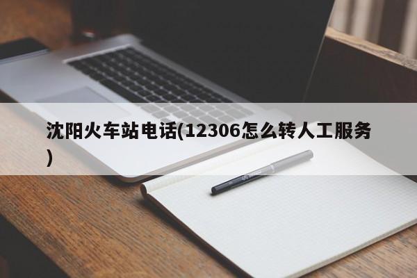 沈阳火车站电话(12306怎么转人工服务)