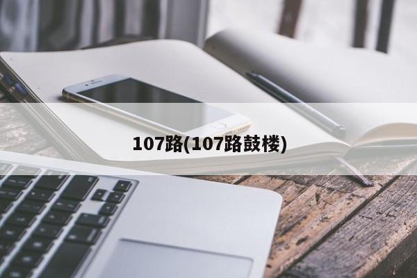 107路(107路鼓楼)