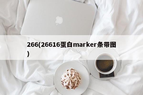 266(26616蛋白marker条带图)